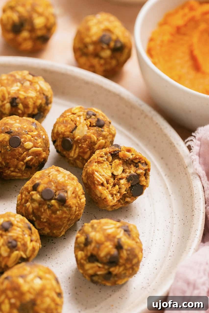 A pumpkin pie bliss ball with a bite taken out, revealing its texture and chocolate chips