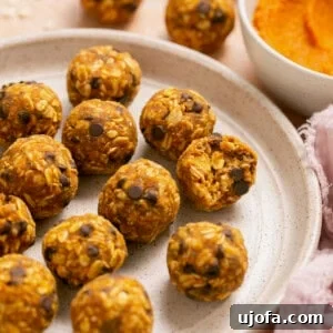 pumpkin oatmeal energy bites with chocolate chips on a white plate