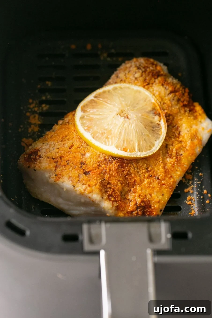 A close-up view of seasoned halibut fillets with lemon slices resting in an air fryer basket, perfectly arranged and ready for cooking to achieve a golden finish.