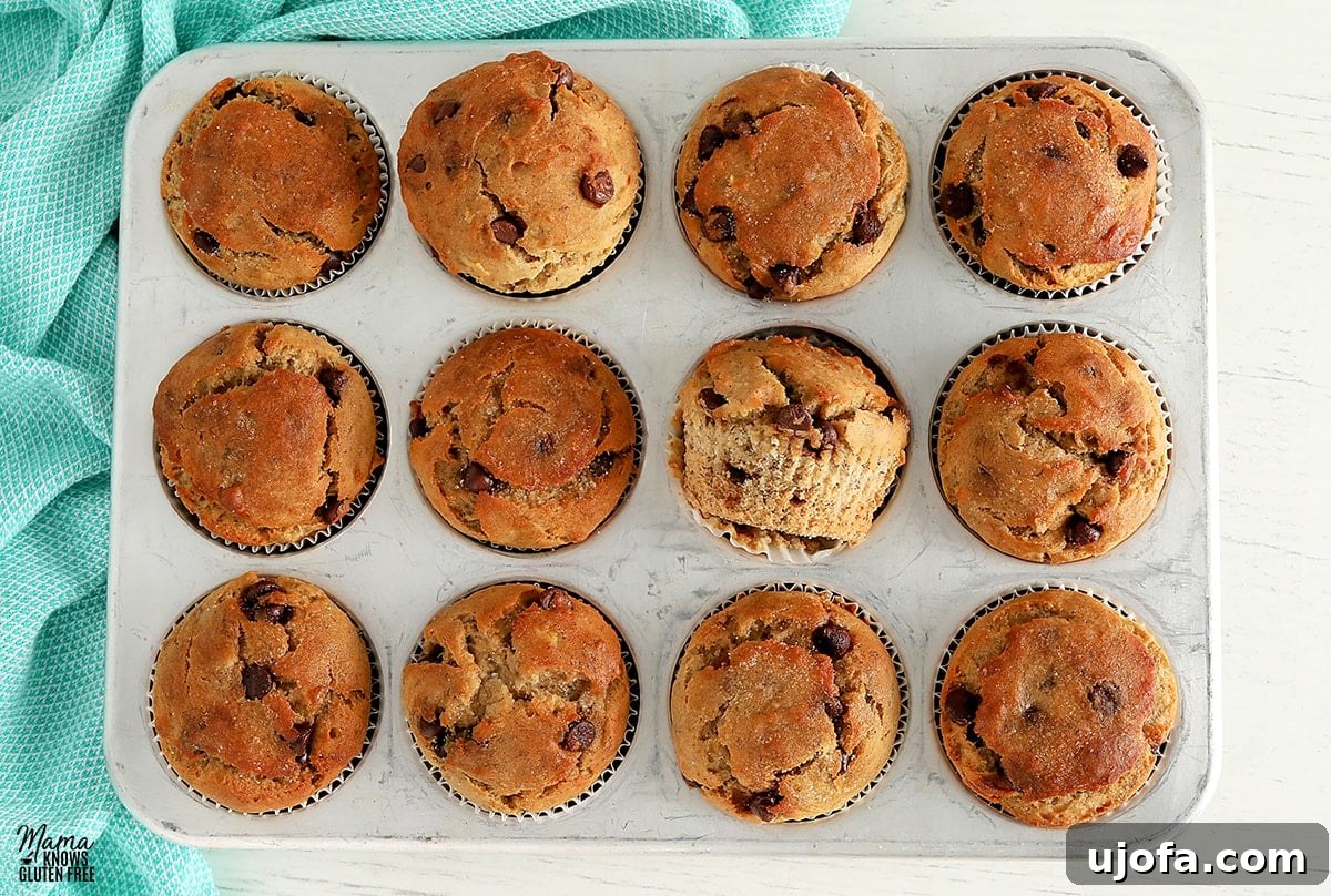 Irresistible Gluten-Free Banana Muffins 2 Gluten-free banana muffins perfectly baked in a silver muffin pan, with a cozy blue kitchen towel nearby, ready to be enjoyed.