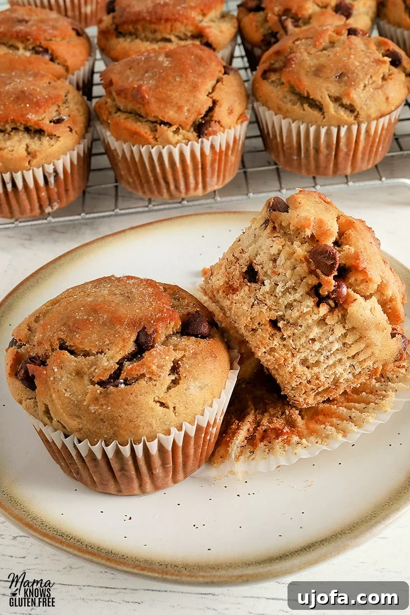 Irresistible Gluten-Free Banana Muffins 5 Two soft and moist gluten-free banana muffins on a white plate, with the rest of the batch cooling on a wire rack in the background.