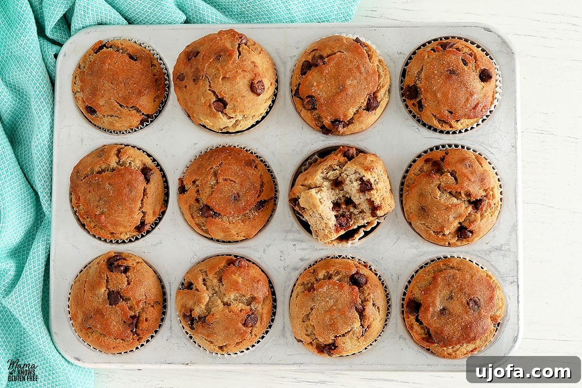 Irresistible Gluten-Free Banana Muffins 6 A close-up of gluten-free banana chocolate chip muffins nestled in a silver muffin pan, with a charming blue kitchen towel in the background.