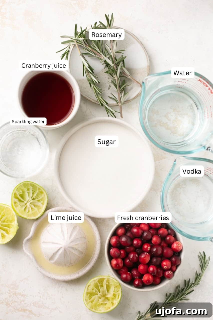 Evergreen Kiss Martini 3 Individual ingredients for Mistletoe Martini, including vodka, cranberry juice, limes, rosemary, and sugar, displayed in small bowls.