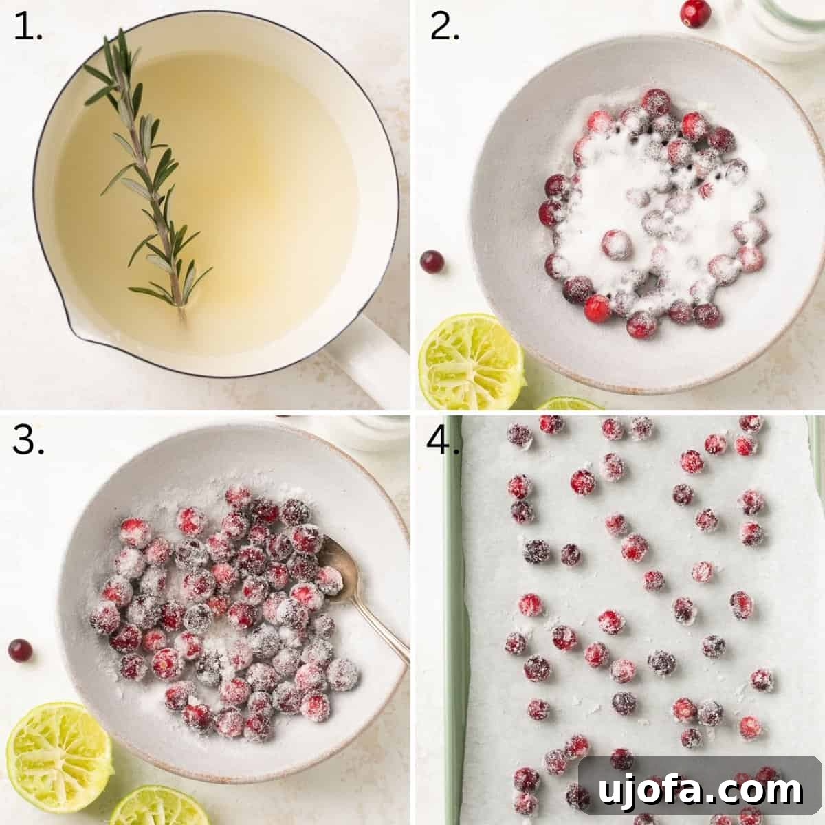 Evergreen Kiss Martini 4 A visual guide showing three numbered steps for preparing the rosemary simple syrup, sugared cranberries, and shaking the martini.