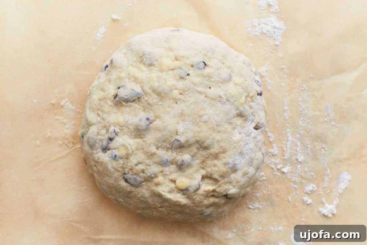 Deliciously Simple Gluten-Free Irish Soda Bread 13 A smooth, shaped dough ball with raisins visible on its surface, resting on floured parchment paper