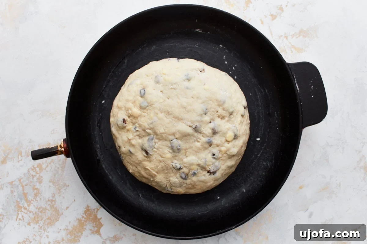 Deliciously Simple Gluten-Free Irish Soda Bread 14 The dough placed in a cast iron skillet, shaped into a round, ready for scoring and baking