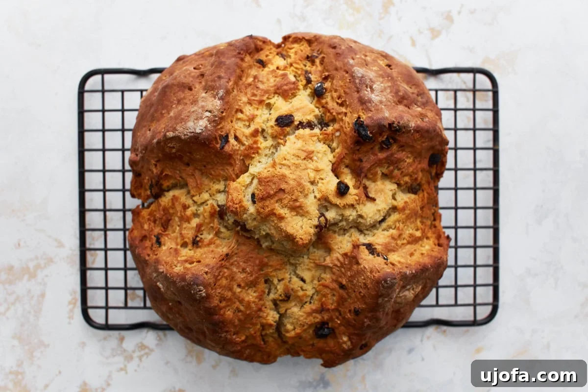 Deliciously Simple Gluten-Free Irish Soda Bread 17 A freshly baked gluten-free Irish soda bread loaf cooling on a wire rack, with a golden crust and visible raisins