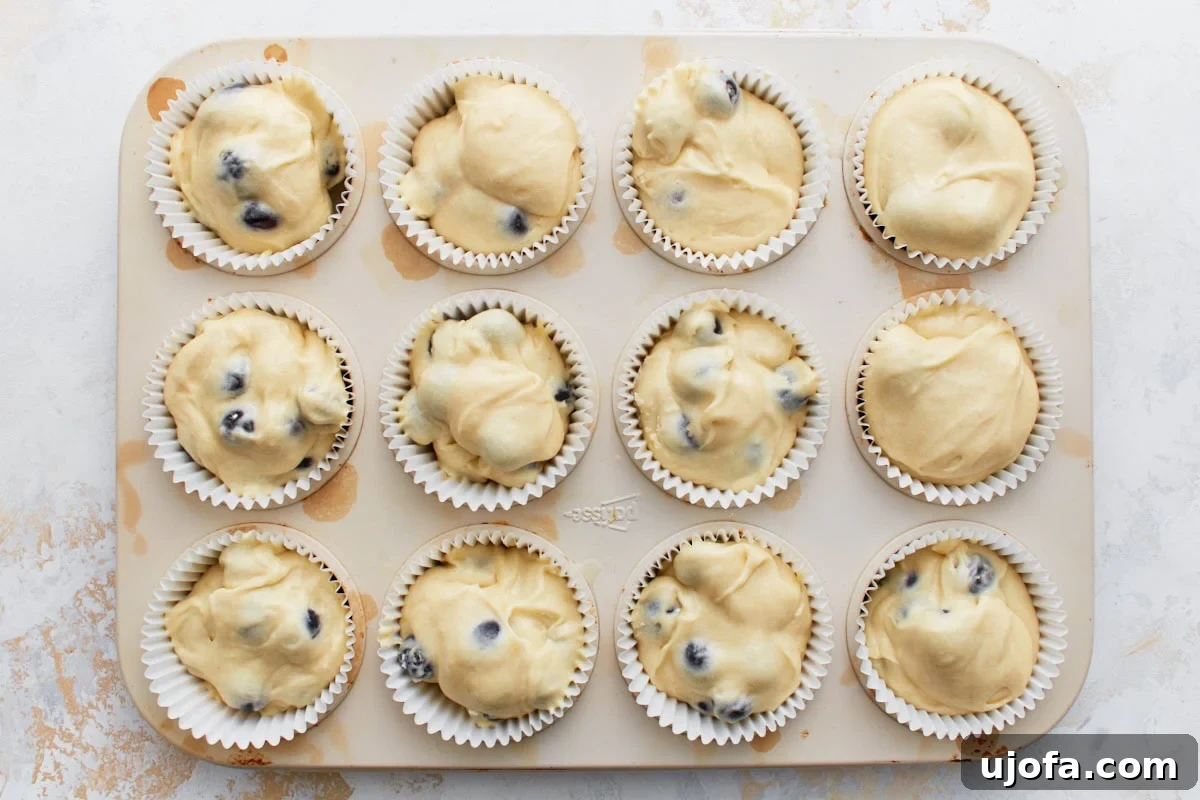 Deliciously Easy Gluten-Free Blueberry Muffins 12 Twelve muffin liners filled with unbaked gluten-free blueberry muffin batter, neatly arranged in a muffin tin, ready to be topped and baked.