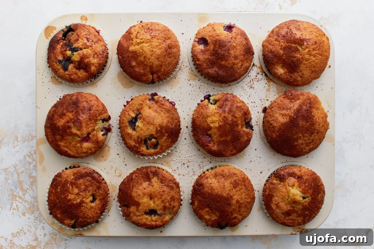 Deliciously Easy Gluten-Free Blueberry Muffins 14 Twelve golden-brown gluten-free blueberry muffins fresh out of the oven, still nestled in the muffin tin, with perfectly domed and slightly crackled tops.