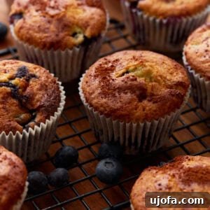 Close-up of golden-brown gluten-free blueberry muffins on a black wire cooling rack, surrounded by fresh blueberries.
