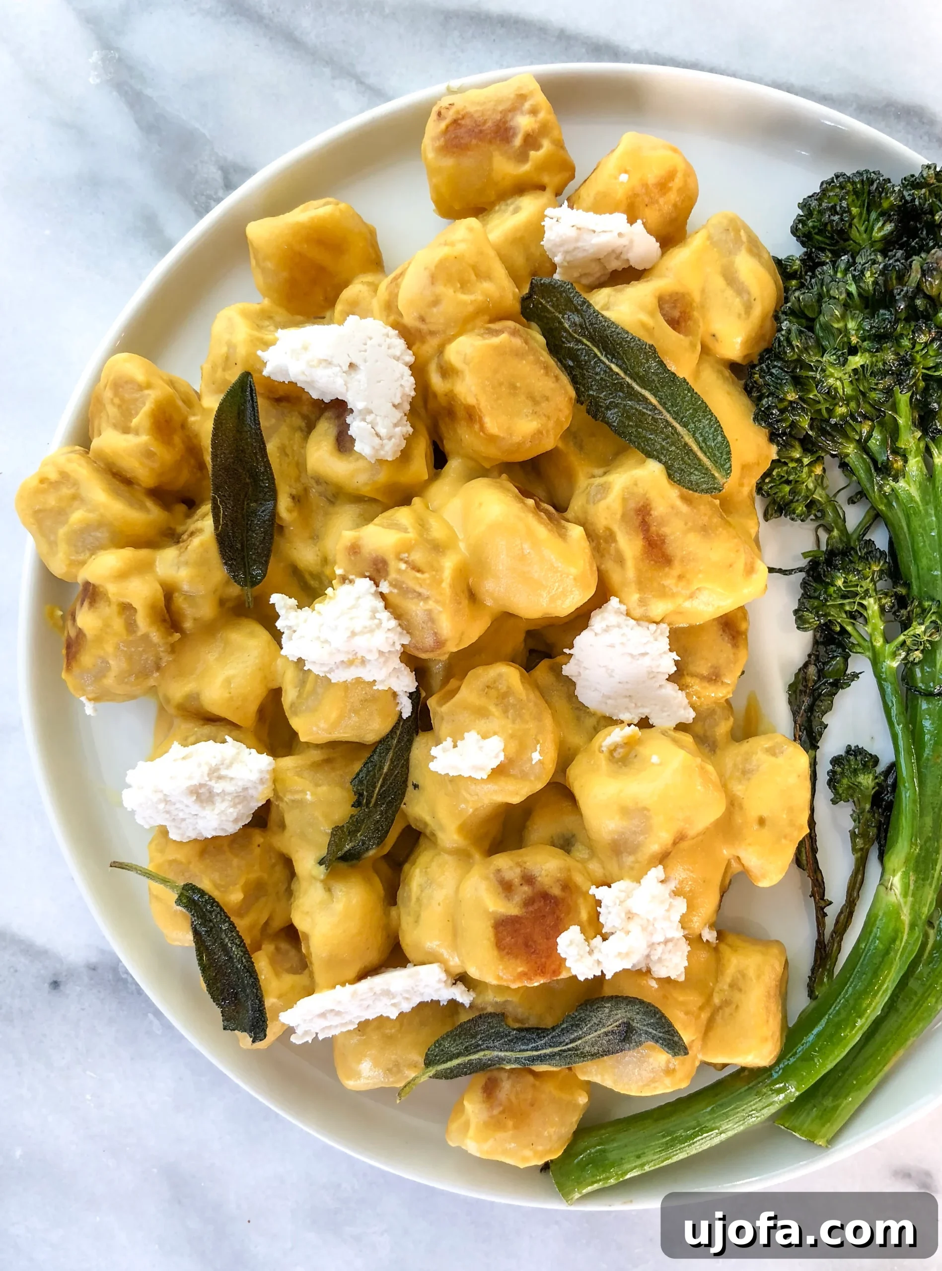 Creamy cauliflower gnocchi with butternut squash cheese sauce topped with fresh sage and vegan ricotta