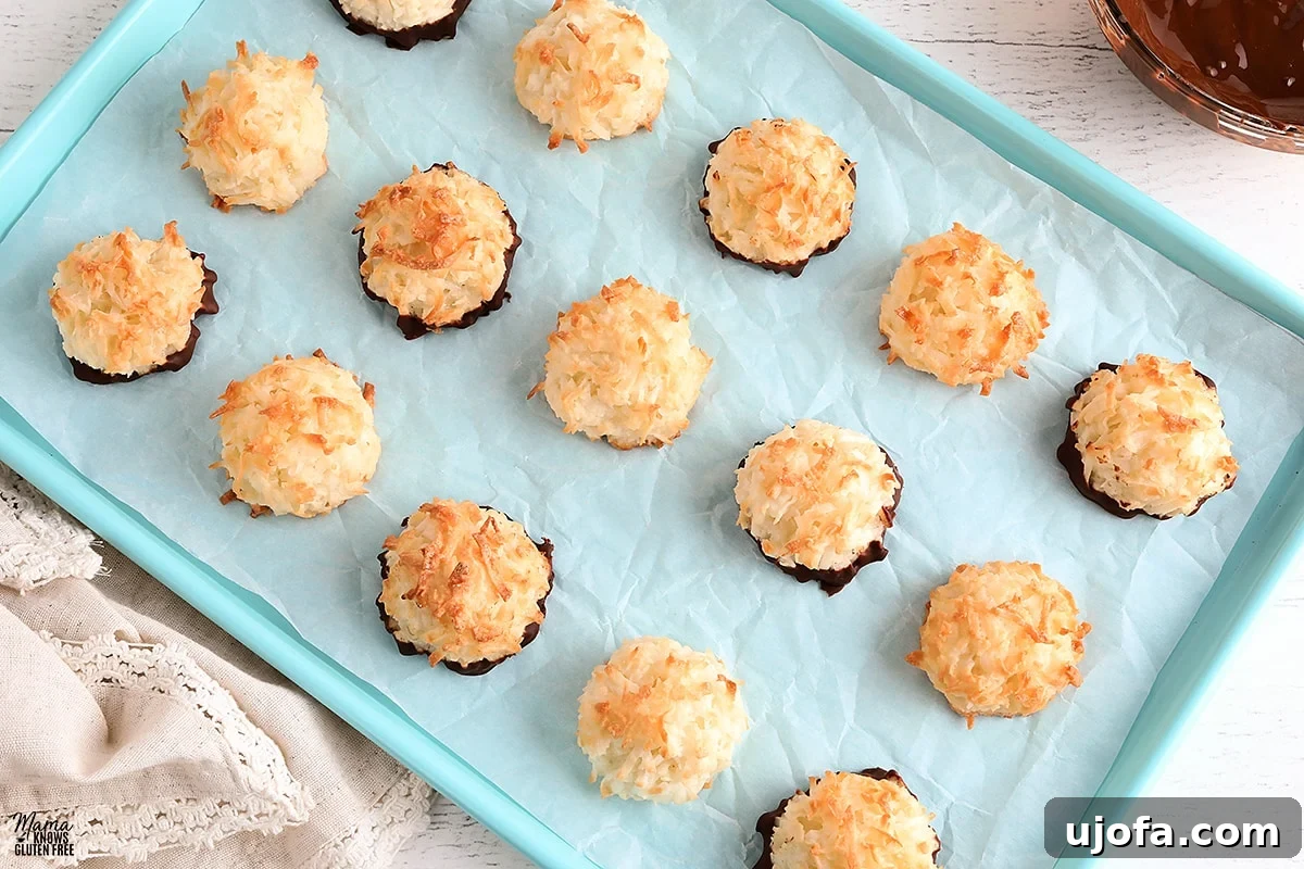 Sweet & Chewy Gluten-Free Coconut Macaroons 2 Delicious gluten-free coconut macaroons on a blue baking sheet, with melted chocolate and a kitchen towel in the background.