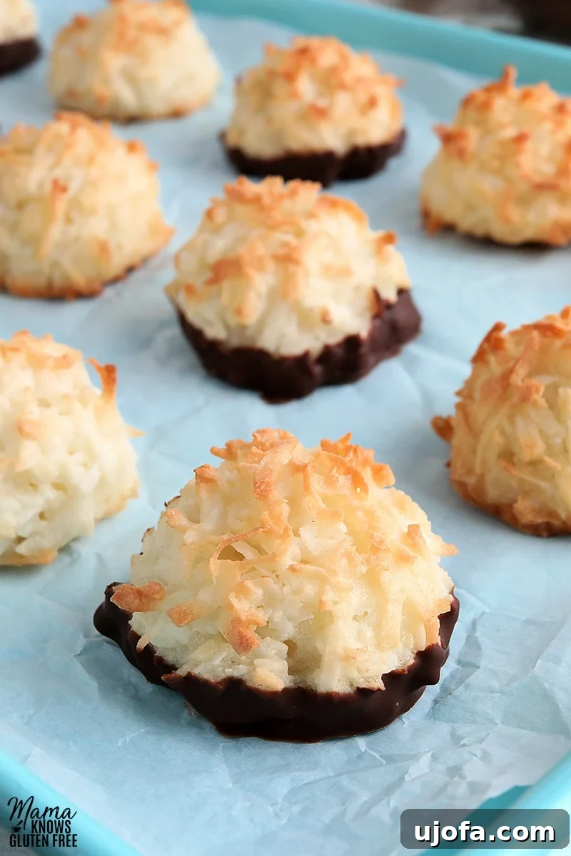 Sweet & Chewy Gluten-Free Coconut Macaroons 6 A single gluten-free coconut macaroon cookie, partially dipped in chocolate, resting on a blue baking sheet.
