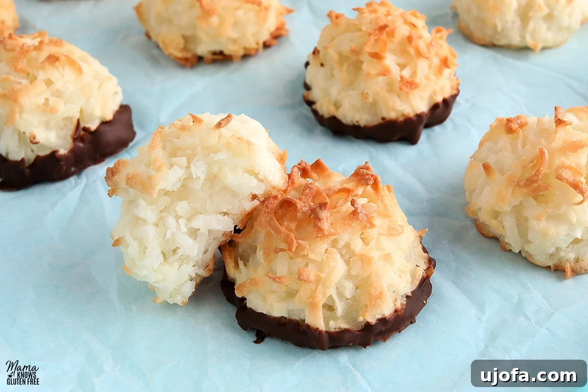 Sweet & Chewy Gluten-Free Coconut Macaroons 7 Close-up of gluten-free coconut macaroons, with one cookie halved to reveal its moist, chewy interior texture.
