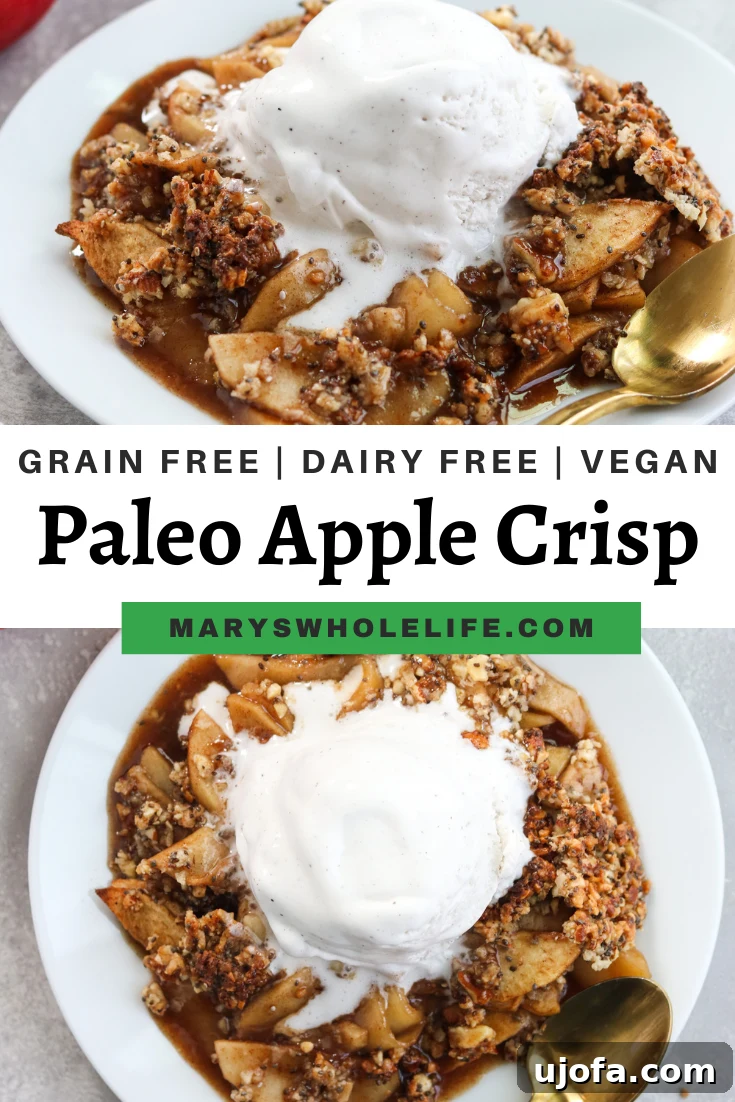 Overhead shot of Paleo Apple Crisp in a baking dish