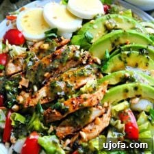 Grilled Chicken Chimichurri Sauce with fresh herbs