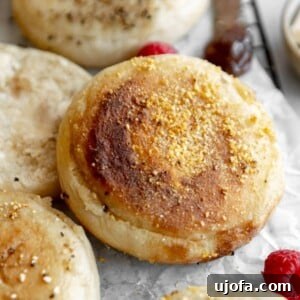 Gluten Free Brunch Delights 14 A close-up of a perfectly toasted gluten-free English muffin, revealing its characteristic nooks and crannies, ready to be slathered with butter or jam.