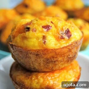 Gluten Free Brunch Delights 21 Two Hash Brown Egg Cups are neatly stacked, with more visible in the background, highlighting their compact and delicious appeal.