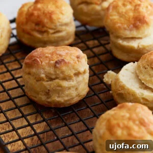 Gluten Free Brunch Delights 23 A collection of freshly baked gluten-free buttermilk biscuits, cooling on a wire rack, revealing their perfectly golden tops and inviting flaky layers.