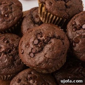 Gluten Free Brunch Delights 30 A tempting close-up of a stack of gluten-free double chocolate muffins, generously topped with melty chocolate chips, promising a rich experience.