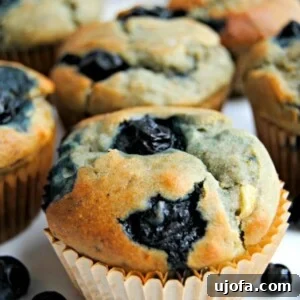 Gluten Free Brunch Delights 31 A collection of inviting gluten-free banana blueberry muffins.