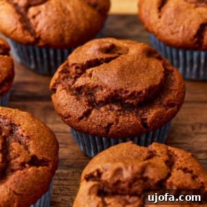Gluten Free Brunch Delights 33 A close-up of inviting gluten-free pumpkin muffins, showcasing their warm hue and fluffy texture.