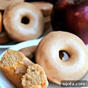 Gluten Free Brunch Delights 41 A tempting display of perfectly baked gluten-free apple cinnamon donuts, artfully arranged and ready to be enjoyed.