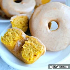 Gluten Free Brunch Delights 42 A tempting array of gluten-free baked pumpkin donuts, each glistening with a sweet glaze, ready to be enjoyed as a delightful fall treat.