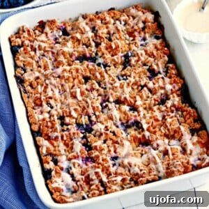 Gluten Free Brunch Delights 47 A wide shot of a freshly baked gluten-free blueberry breakfast casserole, showcasing its golden crust and juicy blueberries.