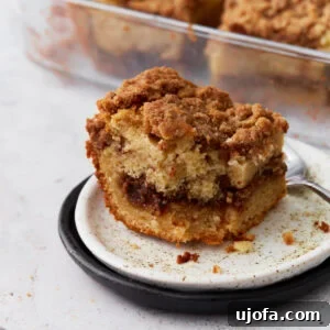Gluten Free Brunch Delights 51 A tantalizing close-up of a single slice of gluten-free cinnamon coffee cake on a white plate with a black rim, clearly showing its rich cinnamon swirl and delightful crumbly streusel topping. A glass baking dish with more cake is artfully visible in the background.