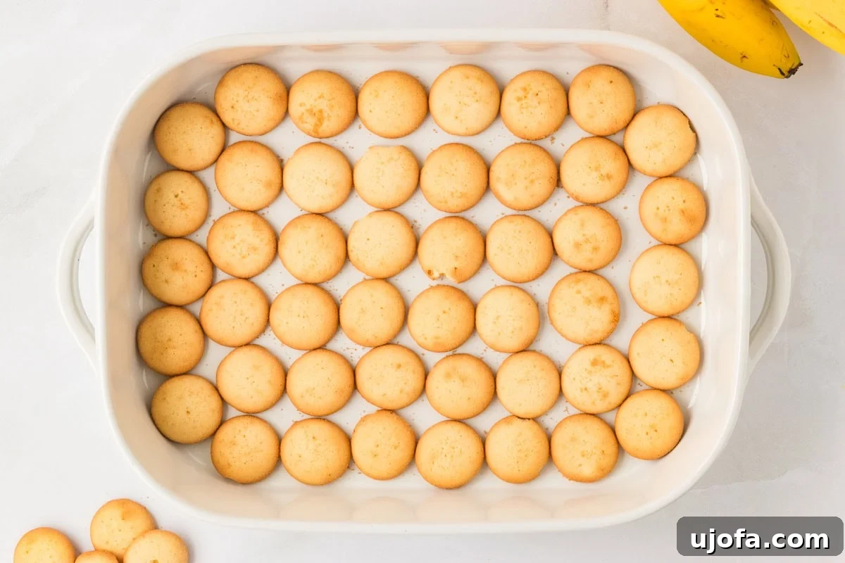 A 9x13 white baking dish lined with a single layer of gluten-free vanilla wafer cookies.