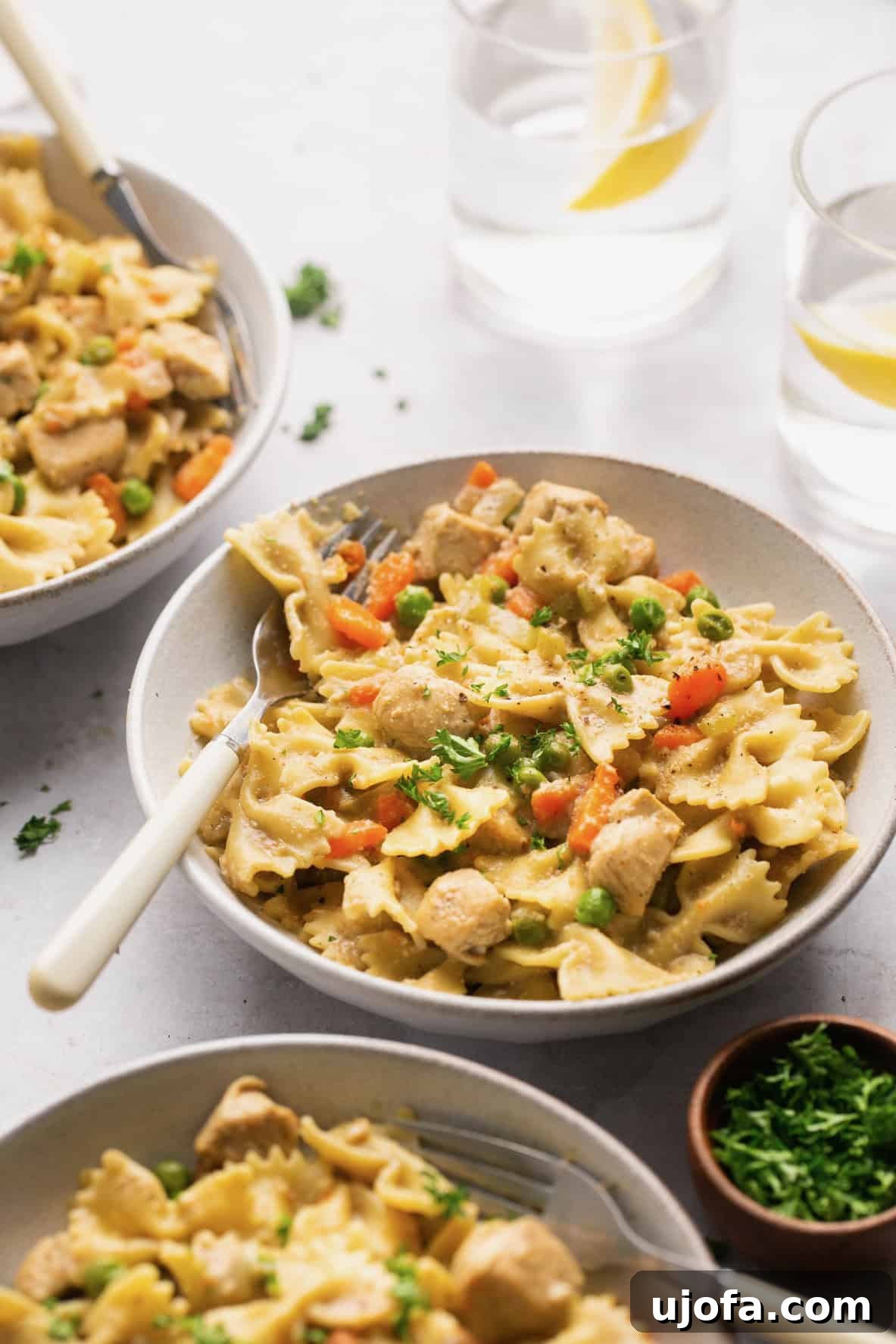 A single, inviting bowl of creamy Instant Pot chicken and gluten-free noodles, generously topped with fresh chopped parsley, highlighting the dish's comforting appeal.