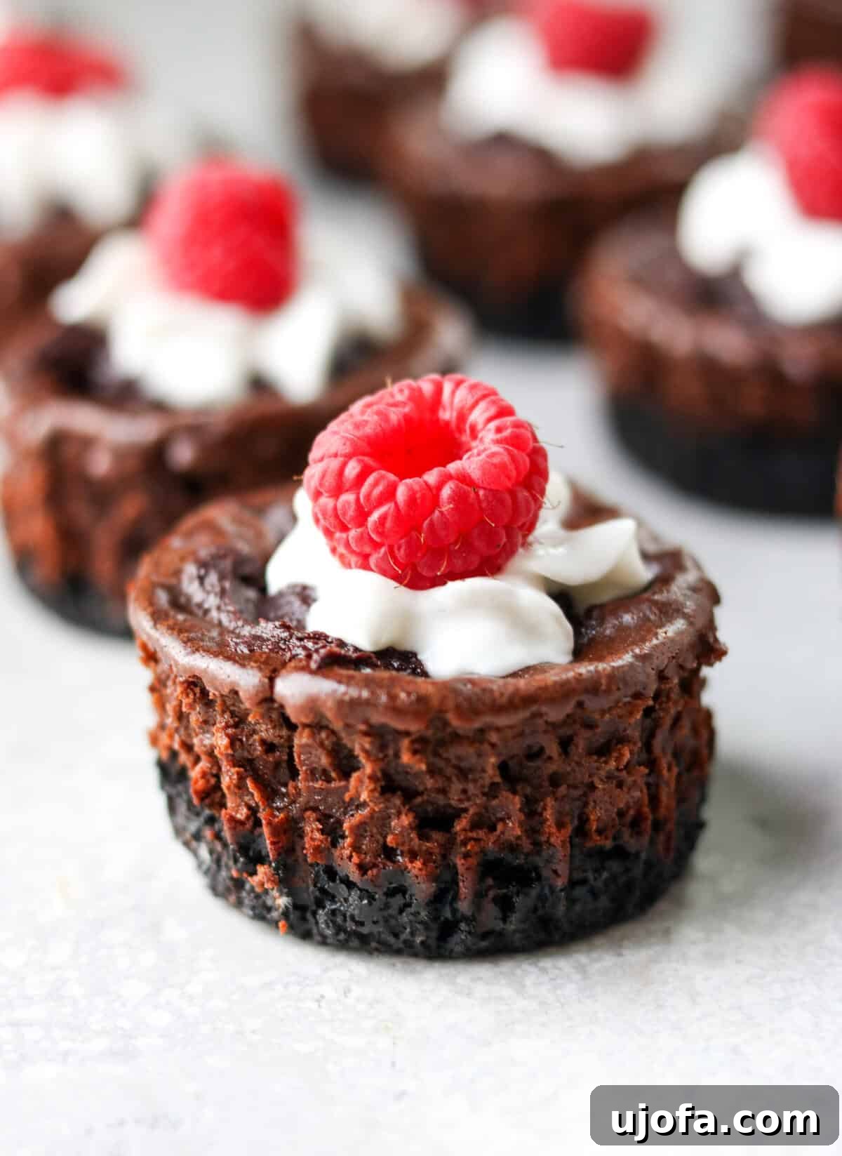 A close-up shot of a mini chocolate protein cheesecake muffin topped with whipped cream and a fresh raspberry, showcasing its rich texture.