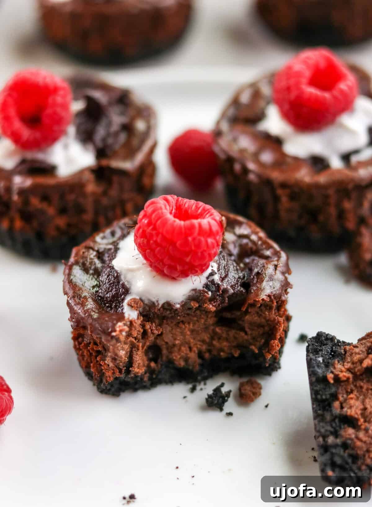 A mini chocolate protein cheesecake muffin with a bite taken out of it, revealing the rich, creamy chocolate filling and the cookie crust.