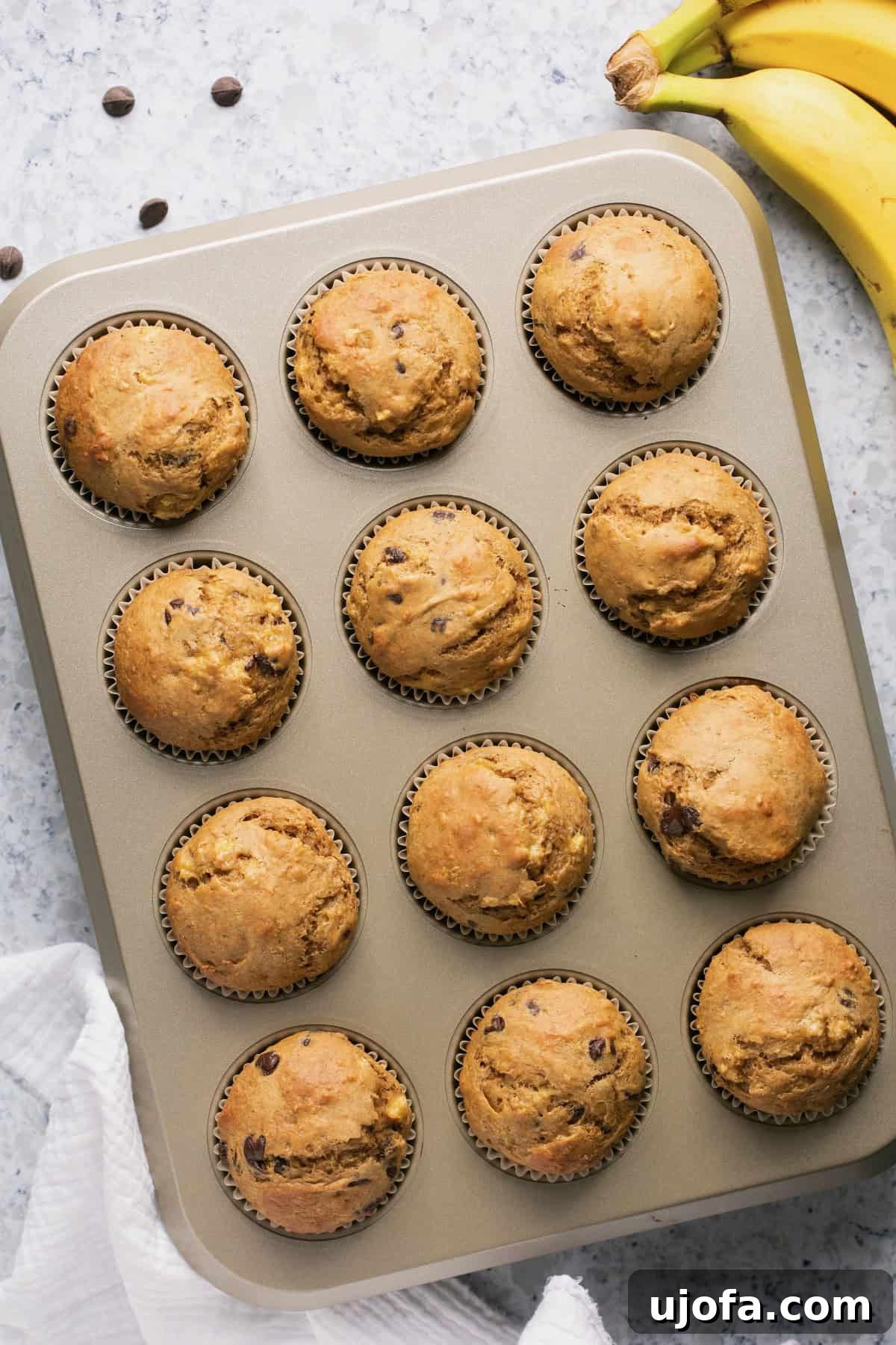 An overhead shot of a batch of freshly baked banana protein muffins, still warm in the muffin tin, ready to be enjoyed as a healthy snack.