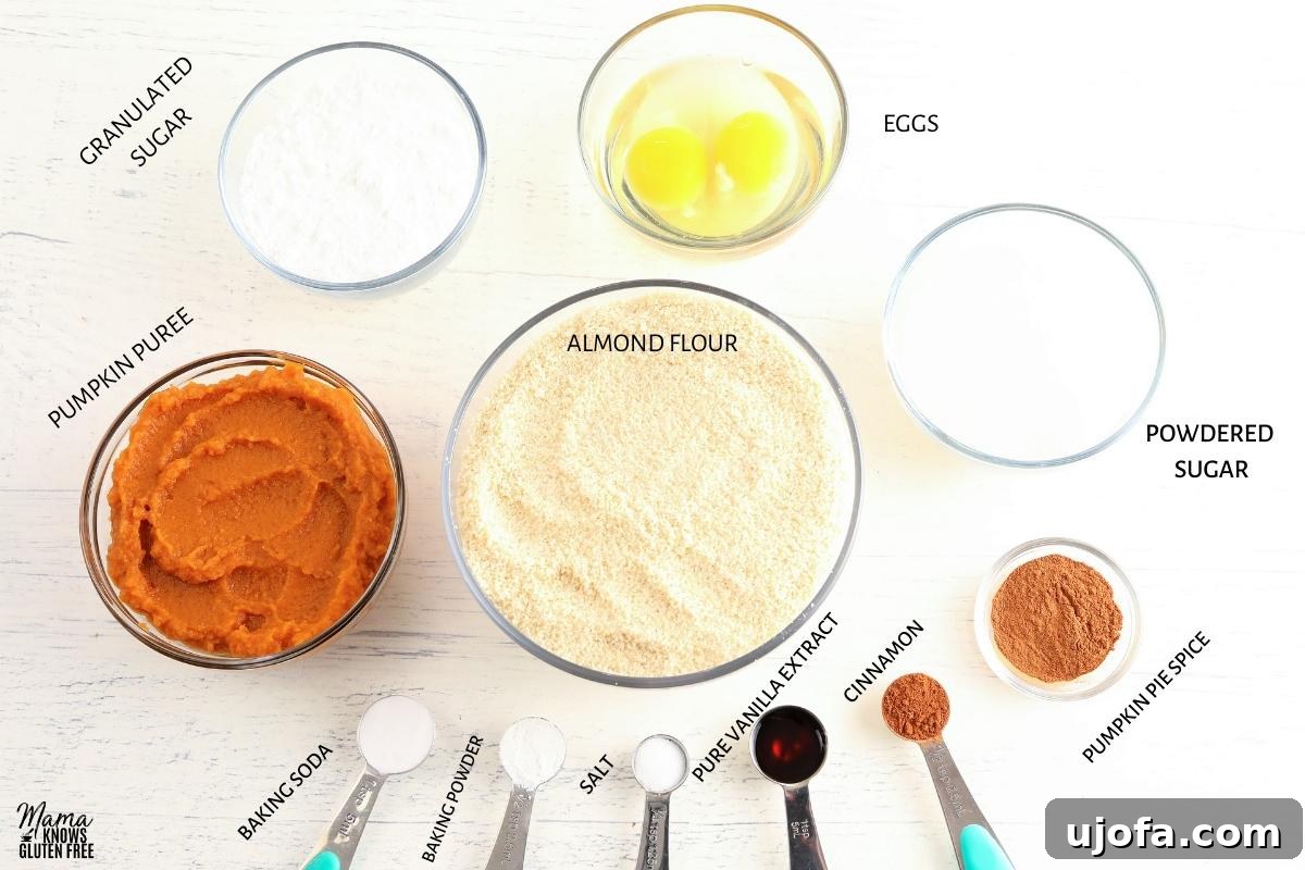 Selection of almond flour pumpkin bread recipe ingredients laid out on a table.