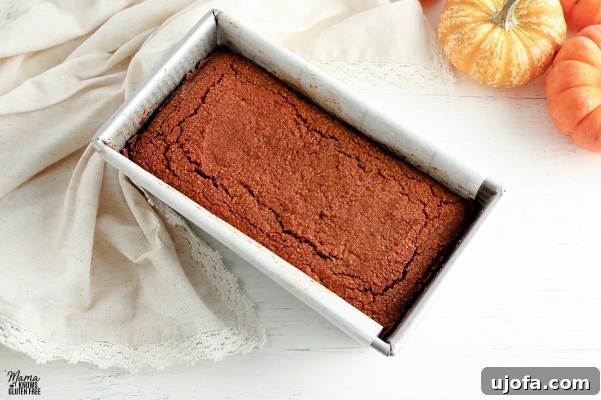 Freshly baked almond flour pumpkin bread cooling in a silver baking pan.