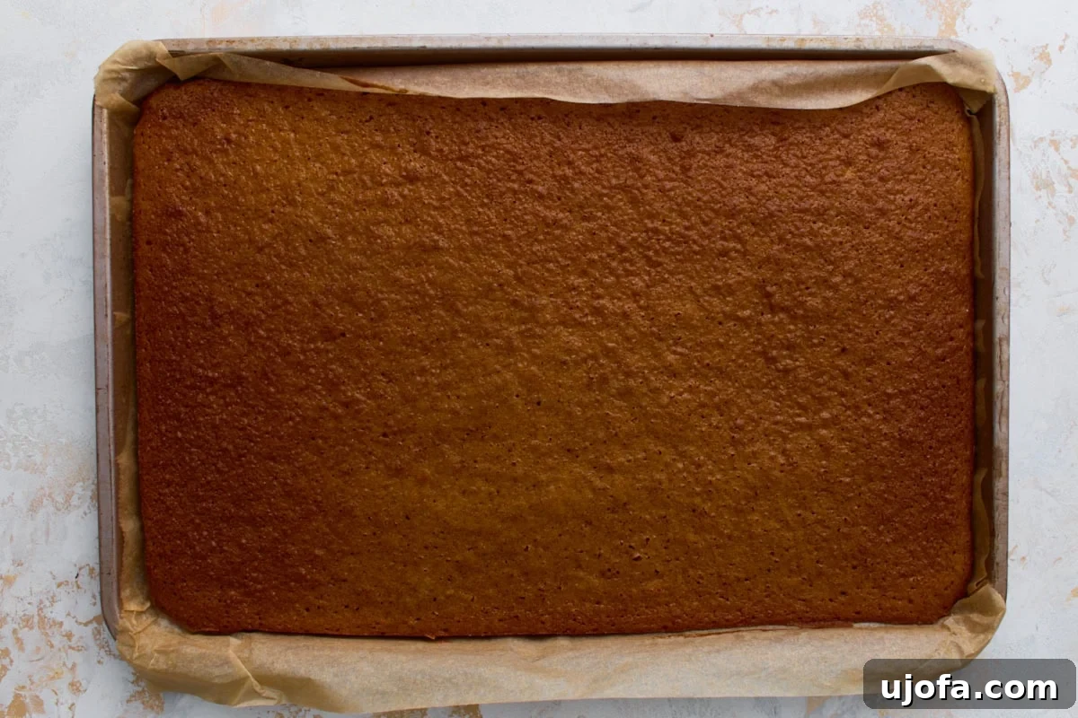Freshly baked pumpkin roll sponge in the jelly roll pan, golden brown and even in texture.