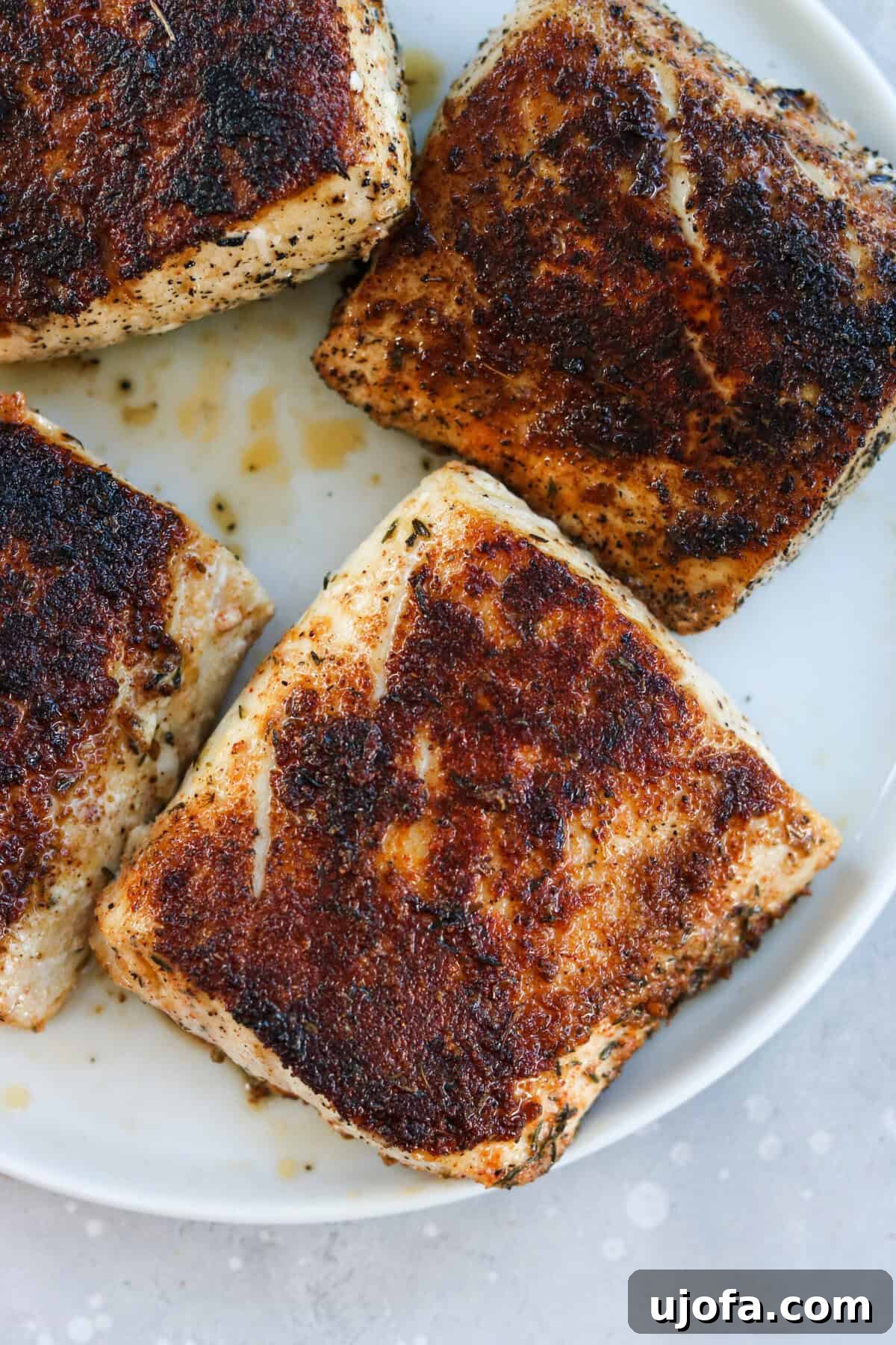 Four perfectly blackened Mahi Mahi fillets arranged neatly on a pristine white plate, ready to be served.