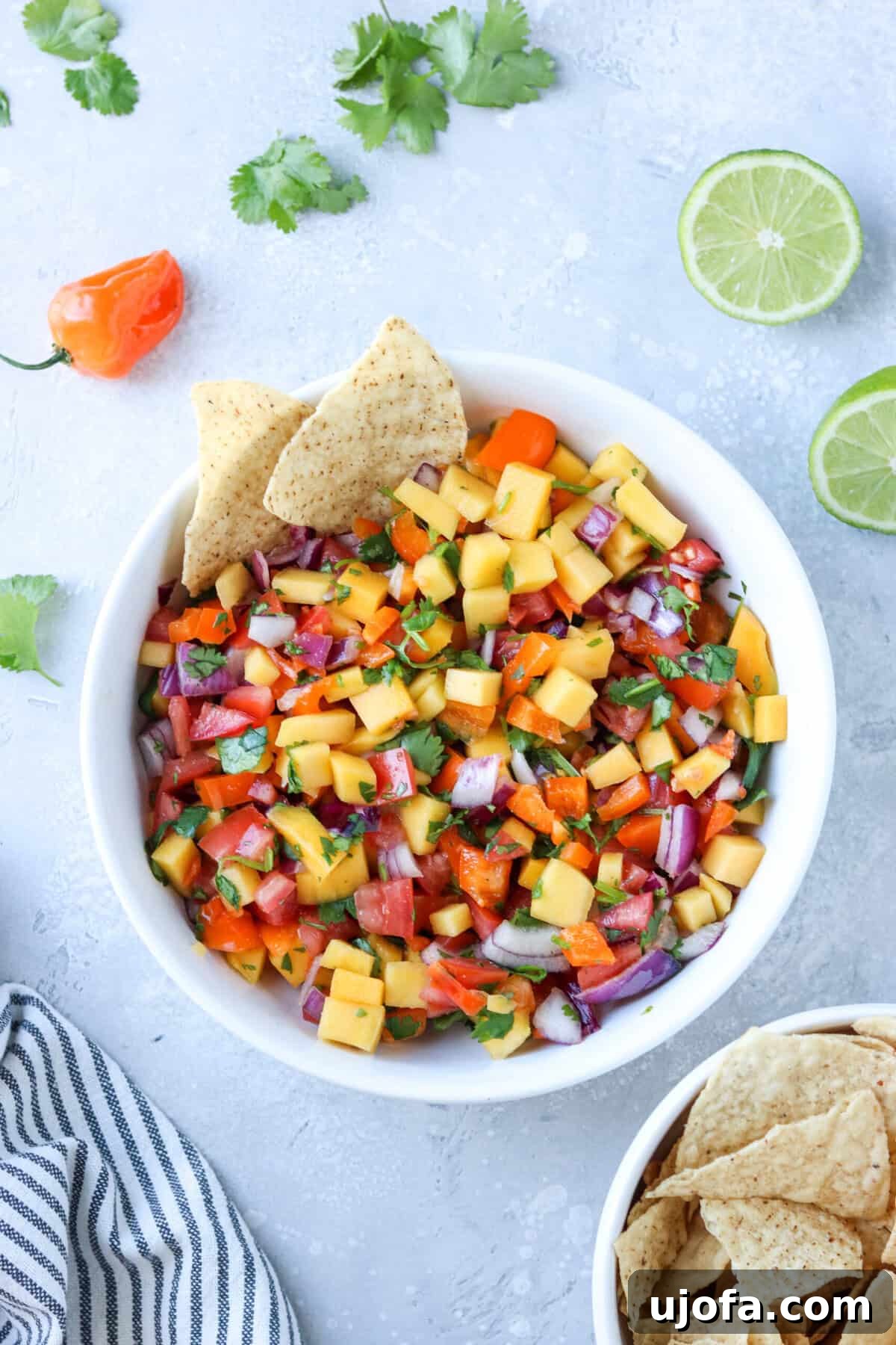 Sweet Heat Mango Habanero Salsa 2 A colorful bowl of homemade mango habanero salsa, featuring diced mangoes, tomatoes, red onion, cilantro, and habanero peppers, with a side of golden tortilla chips.