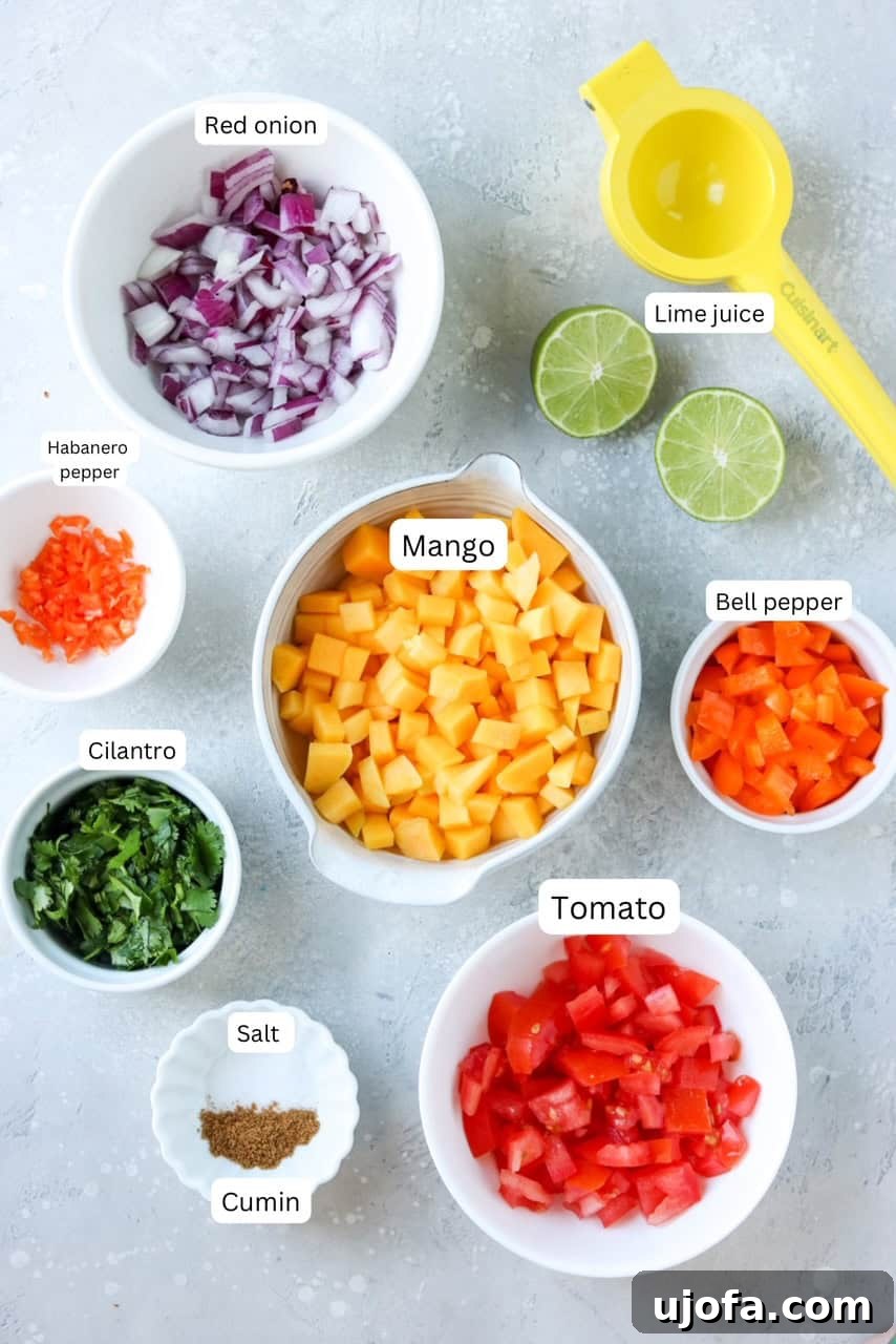 Sweet Heat Mango Habanero Salsa 3 Arrangement of small bowls displaying individual ingredients for the salsa recipe, including diced mango, habanero, tomato, red onion, cilantro, and lime.