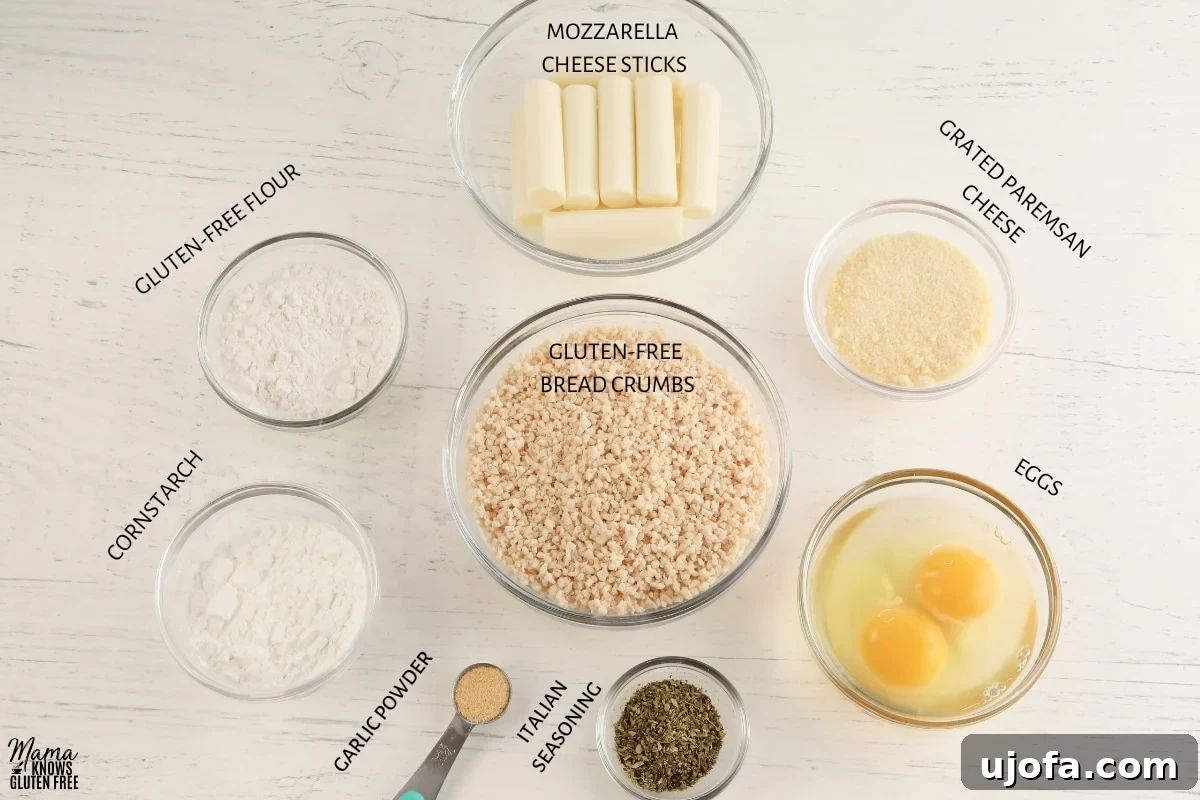 Guilt Free Mozzarella Sticks 3 Ingredients for making gluten-free mozzarella sticks laid out on a table, including cheese, breadcrumbs, and spices.
