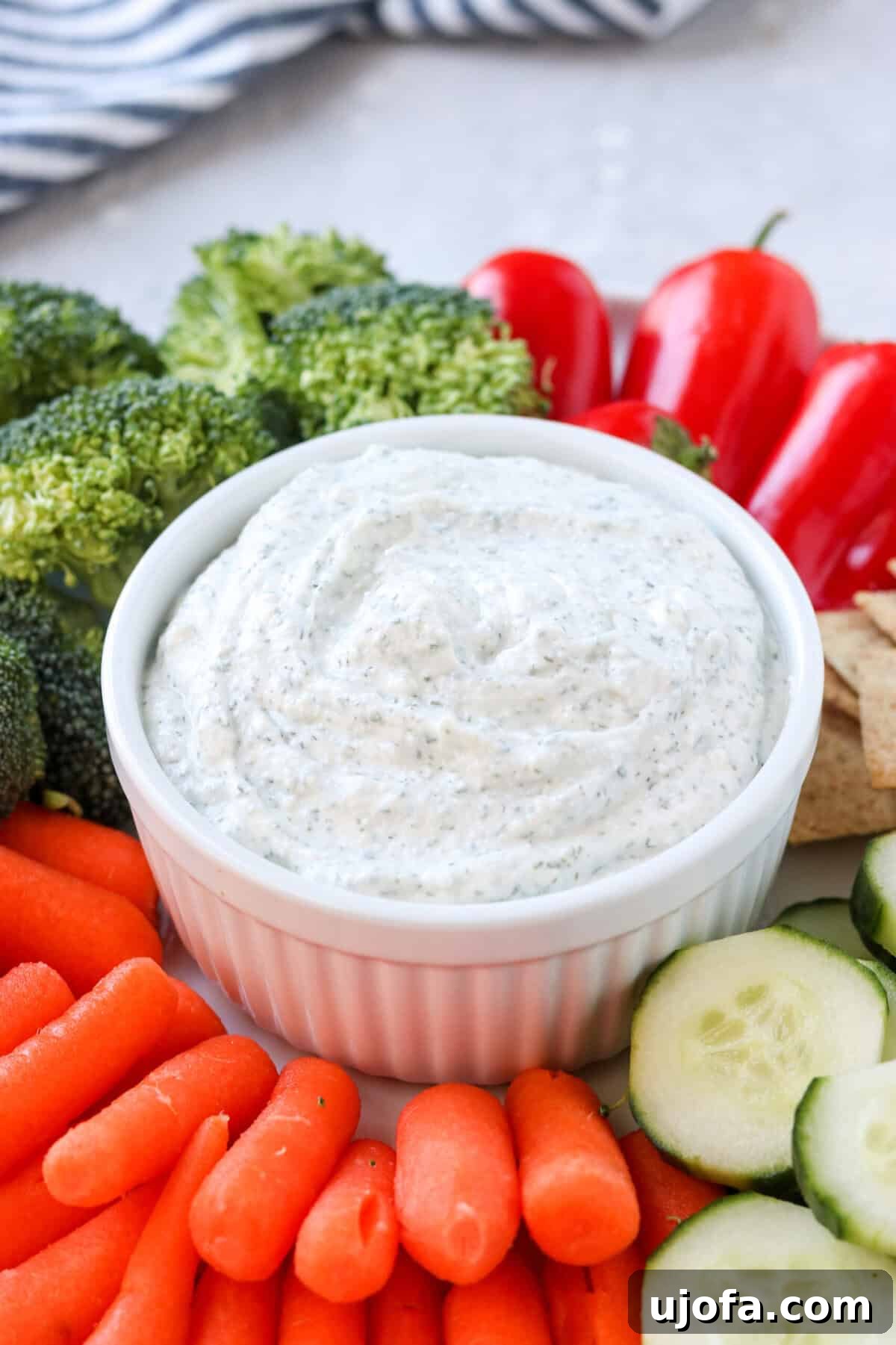 An up-close photo of a small white bowl filled with creamy ranch-flavored cottage cheese dip, highlighting its smooth texture.