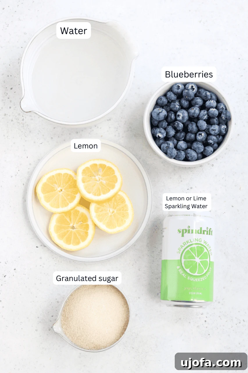 Small bowls containing fresh blueberries, granulated sugar, sliced lemons, and ice cubes, neatly arranged as mocktail ingredients.