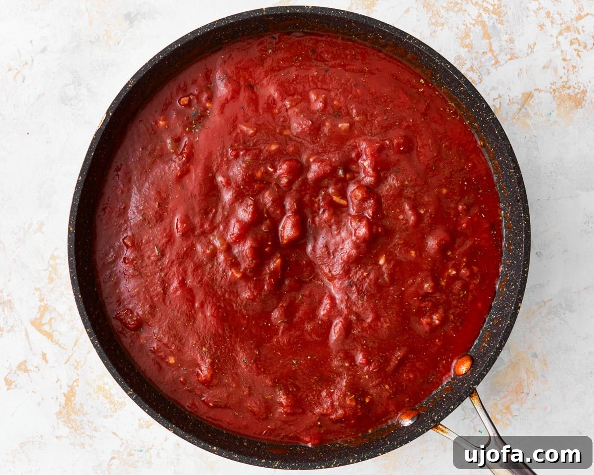 Dried herbs and seasonings being gently stirred into the vibrant red tomato sauce in a skillet, preparing it for simmering.
