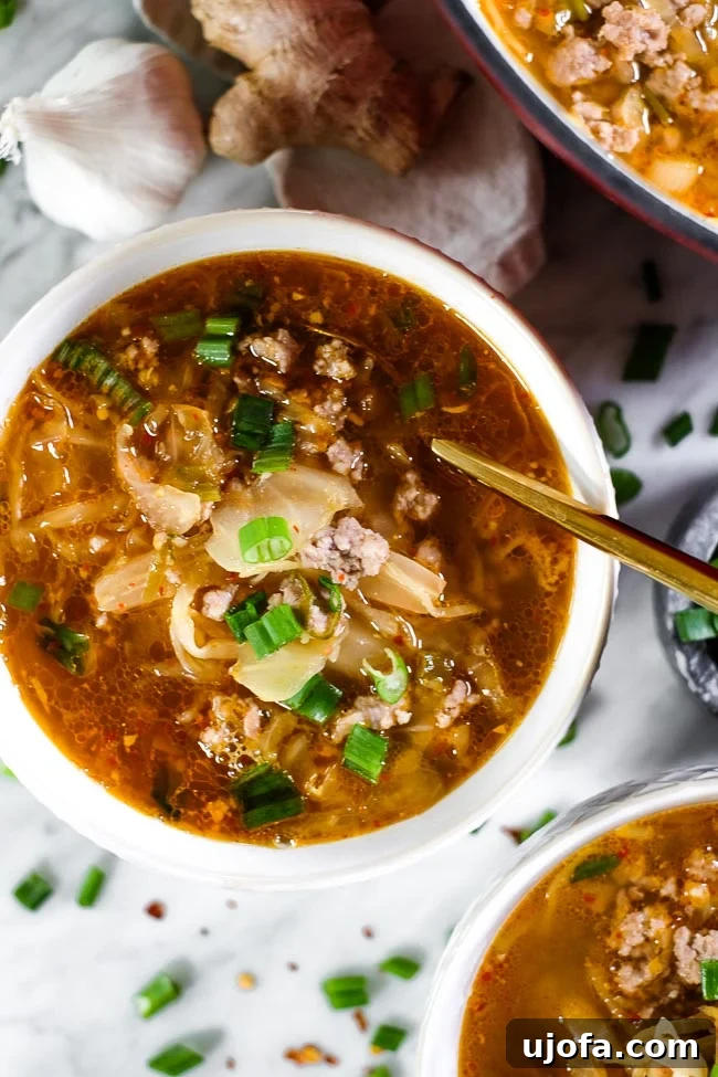 A vibrant bowl of Whole30 compliant Kimchi Soup, garnished with green onions.