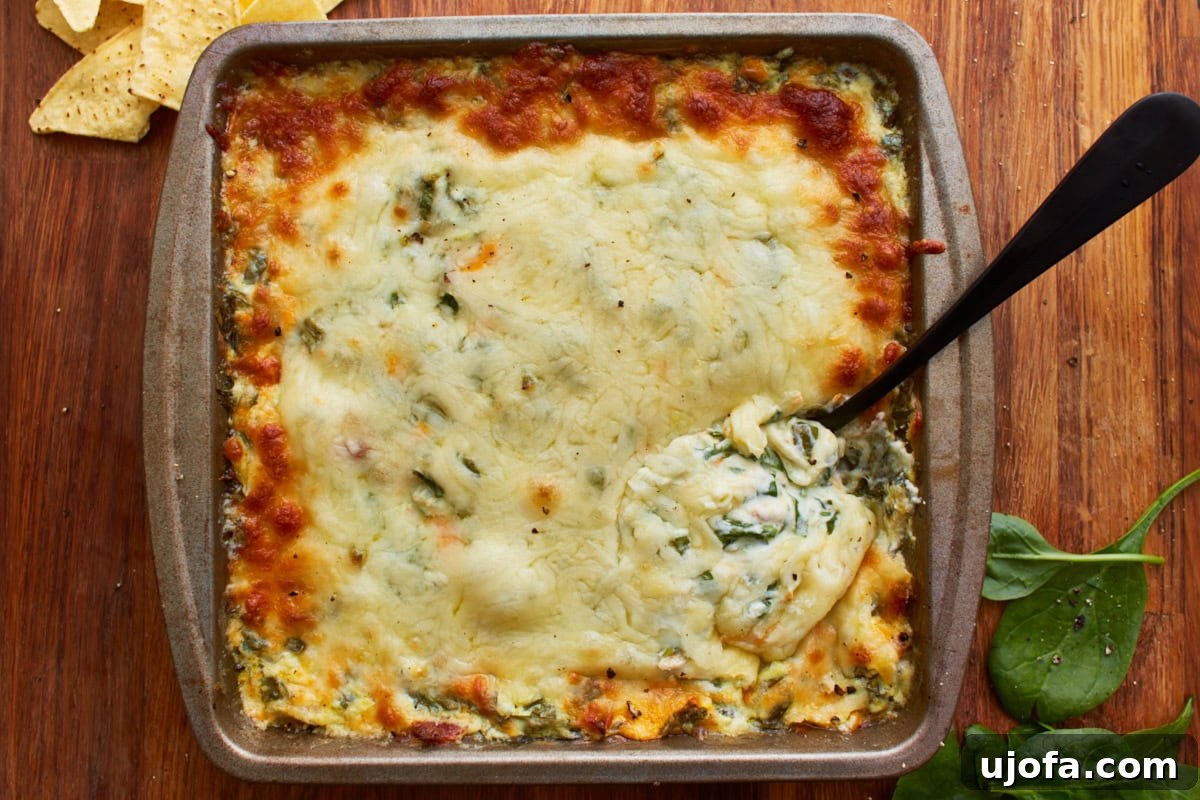 Velvety Warm Spinach Indulgence 10 baked hot spinach dip in a square tin baking dish topped with shredded mozzarella cheese with a spoon dipping in