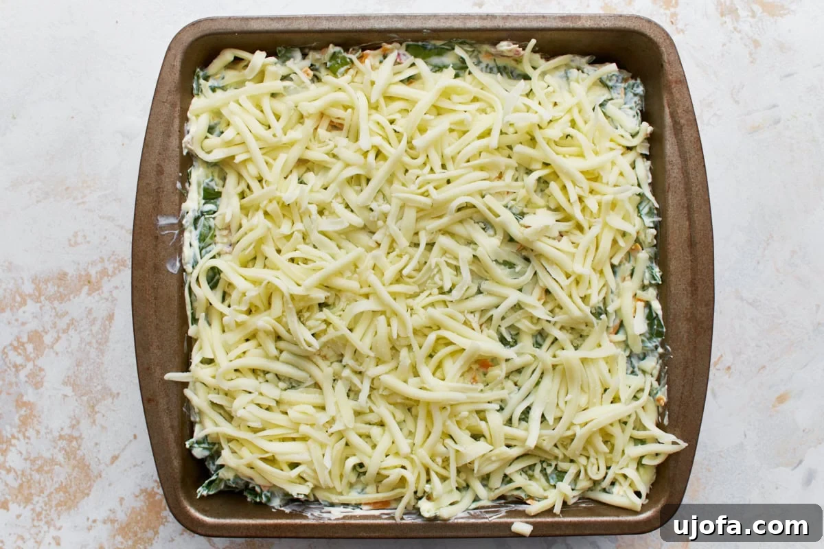 Velvety Warm Spinach Indulgence 9 uncooked hot spinach dip in a square tin baking dish topped with shredded mozzarella cheese