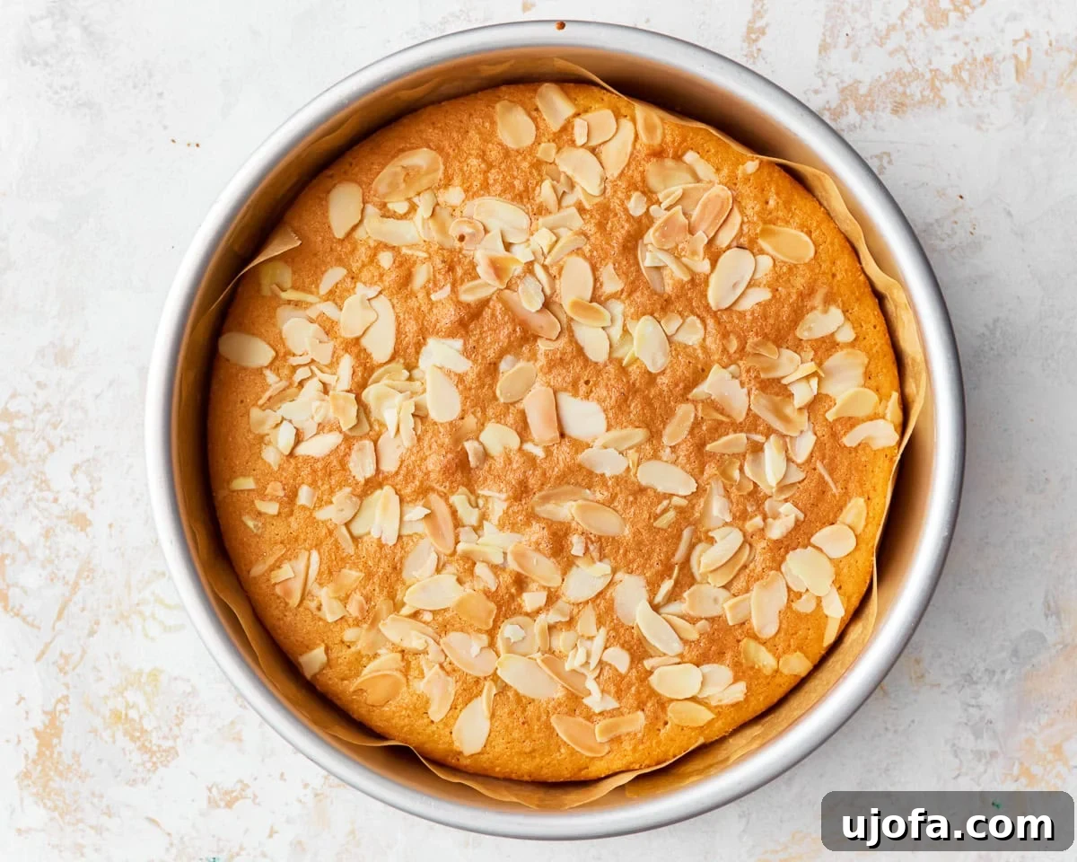 Tender Almond Flour Cake 11 A freshly baked, golden-brown almond flour cake still in its baking tin.