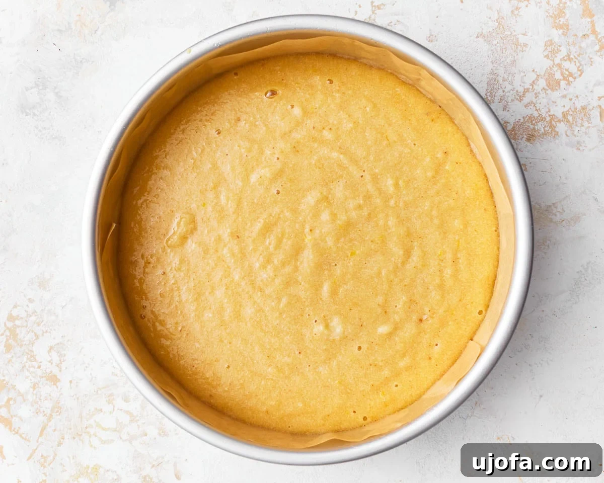 Tender Almond Flour Cake 9 Almond flour cake batter smoothly poured into a prepared baking tin.